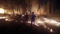 Pożary w całej Hiszpanii. Fala upałów spowodowała śmierć wielu osób