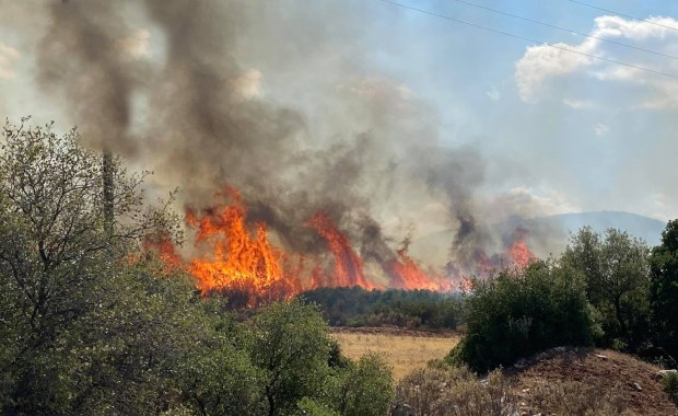 Pożary w Grecji. Nie żyje jedna osoba