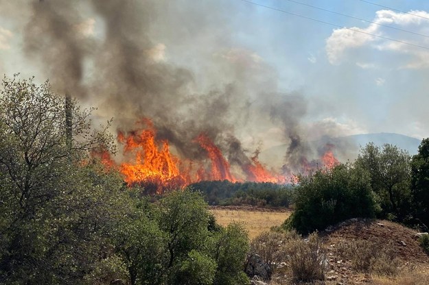 Pożary w Grecji (Peloponez) /VAGELIS BOUGIOTIS /PAP/EPA
