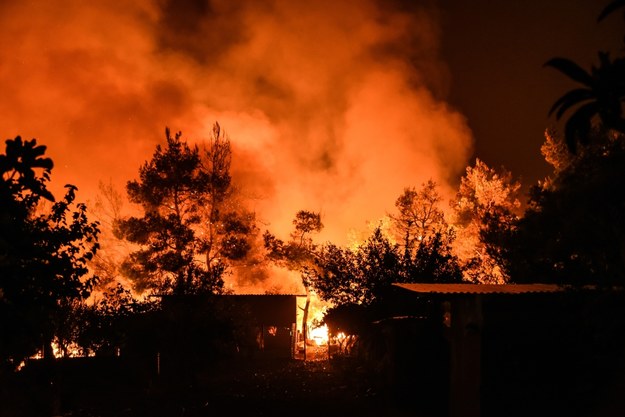 Pożary w Grecji pochłonęły wiele hektarów lasów /WASSILIS ASWESTOPOULOS /PAP