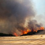 Pożary w Grecji. Sytuacja się poprawiła, polscy strażacy szykują się do powrotu