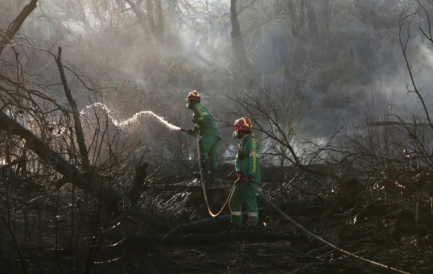 Pożar na greckiej wyspie Serifos opanowany. "Biblijna katastrofa"