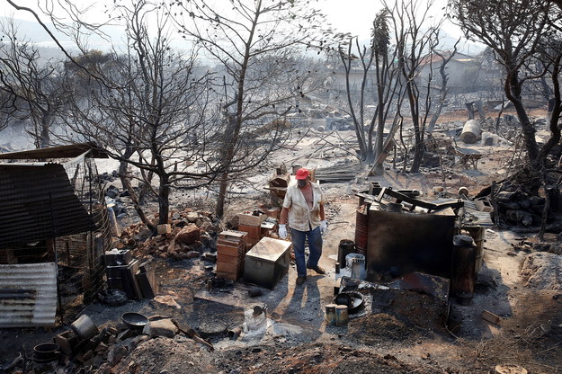 Pożary w Grecji /ORESTIS PANAGIOTOU /PAP/EPA