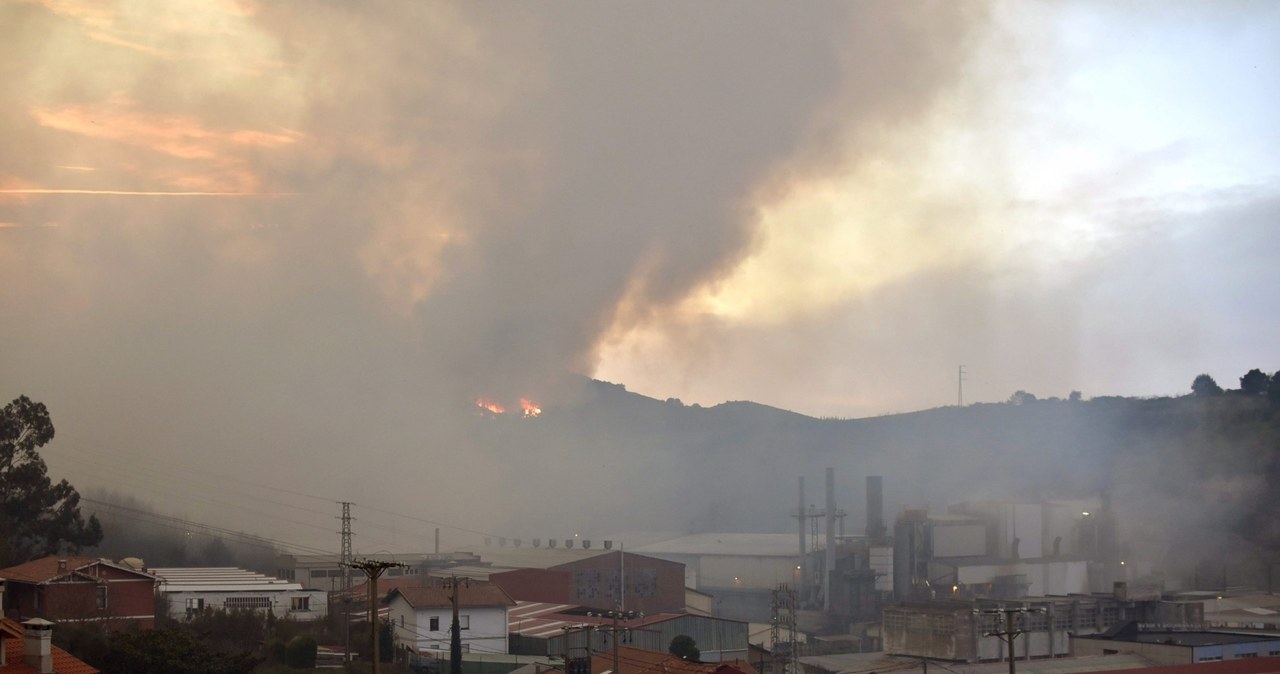 Pożary w Hiszpanii. Płonie 120 lasów