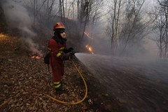 Pożary w Hiszpanii. Płonie 120 lasów