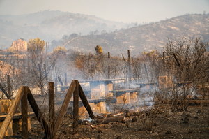 Pożary w Hiszpanii. Prawie 1000 ewakuowanych, 300 strażaków walczy z ogniem 