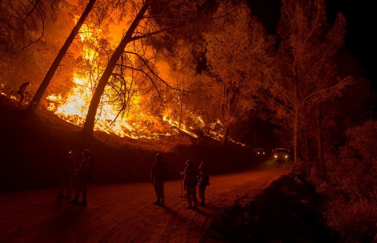 Pożary w Kalifornii /Josh Edelson / AFP /AFP