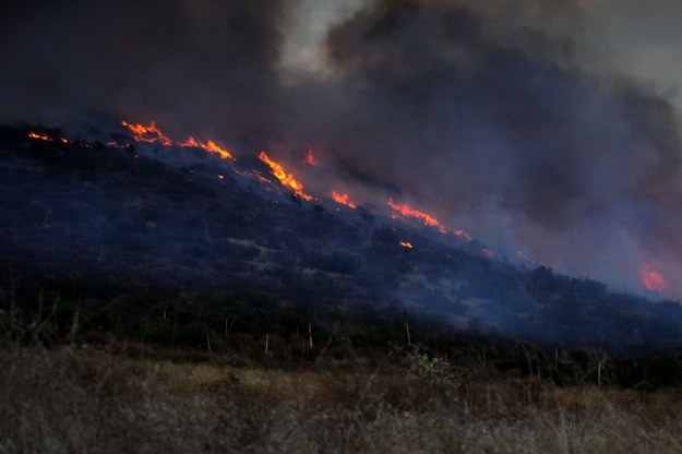 Pożary w Kalifornii /ALEJANDRO ZEPEDA /PAP/EPA