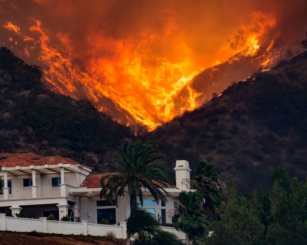 Pożary w Kalifornii /Shutterstock