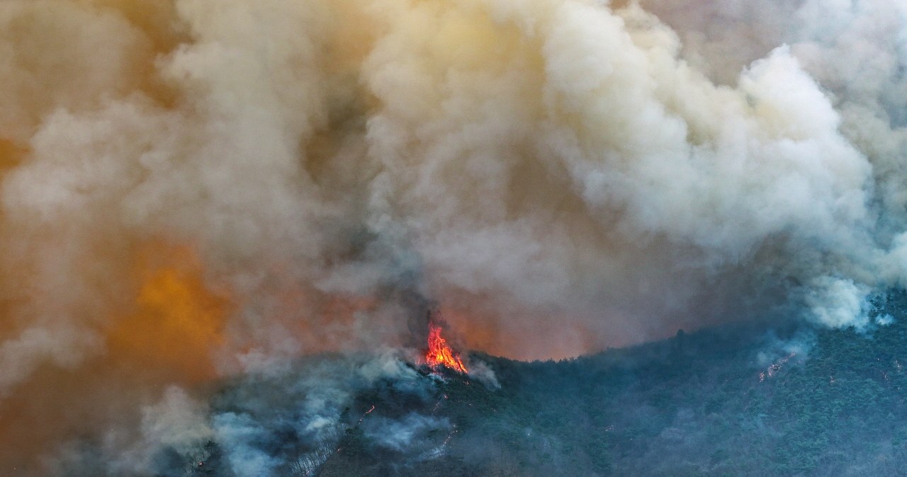 Pożary w Korei Południowej