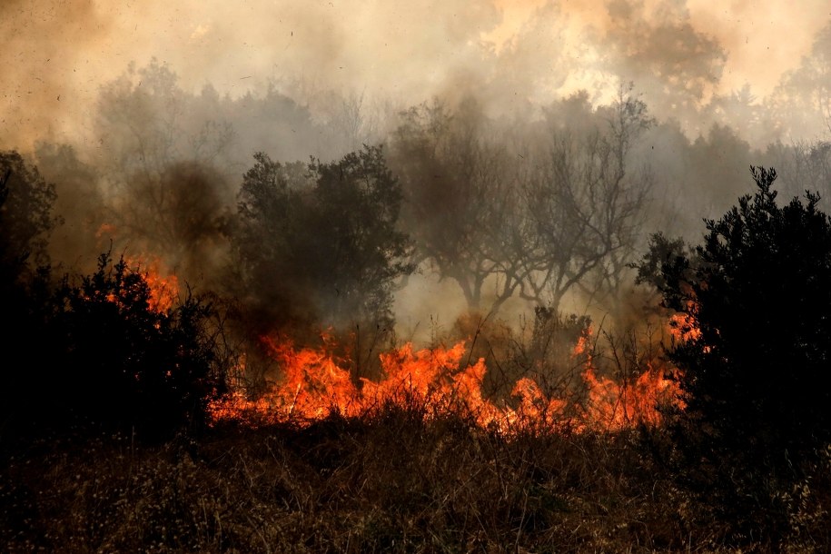 Pożary w mieście Lamia w centralnej Grecji. /ARIS MARTAKOS /PAP/EPA