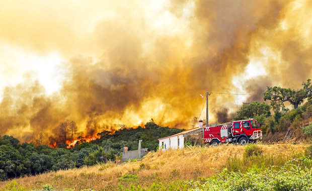 Pożary w Portugalii największe od pięciu lat