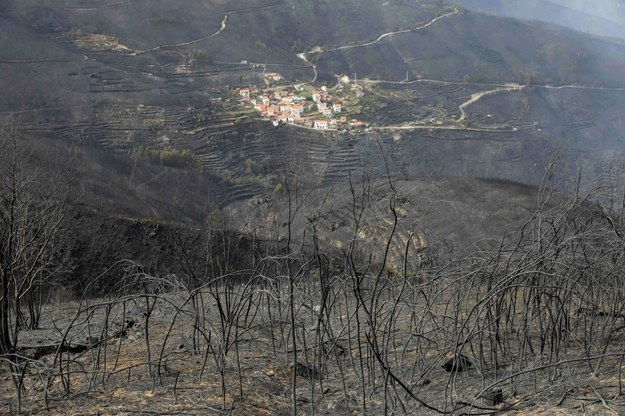 Pożary w Portugalii /PAULO NOVAIS /PAP/EPA