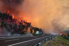 Pożary w Portugalii