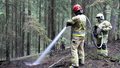 Pożary w Puszczy Białowieskiej. Jest ich coraz więcej
