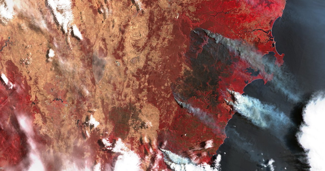 Pożary w regionie położonym ok 100 km na południe od Sydney - (sztuczne kolory) - satelita Sentinel-2 / Credits - Komisja Europejska, Copernicus, Sentinel Hub /Kosmonauta
