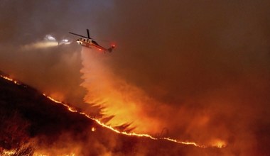 Pożary w USA. Dron uziemił samolot gaśniczy