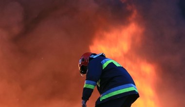 Pożary zombie. Naukowcy alarmują, to poważne zagrożenie