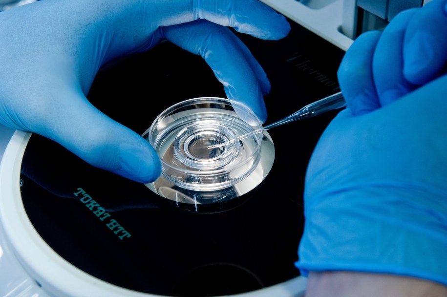 Pozaustrojowe zapłodnienie in vitro /Grzegorz Michałowski /PAP