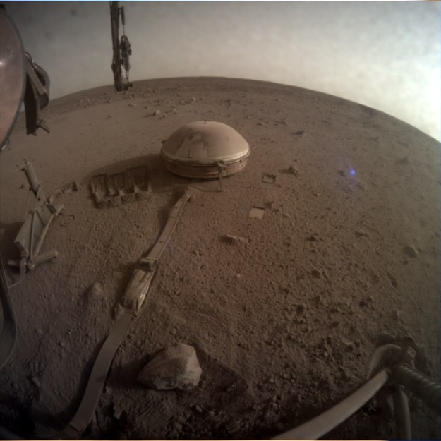 Pożegnalne zdjęcie z Marsa. Widać przykryty marsjańskim pyłem sejsmometr (w srodku) i stanowisko Kreta (po lewej) /NASA/JPL-Caltech /Materiały prasowe