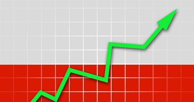 Poziom krajowego długu rynkowego na koniec V wyniósł 504,8 mld zł /&copy;123RF/PICSEL