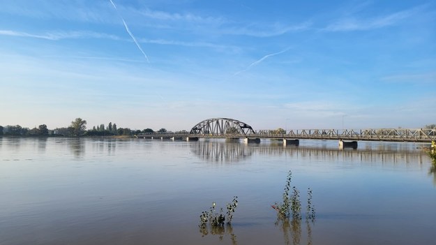 Poziom Odry w lubuskich Cigacicach na zdjęciu z 24 września br. /Beniamin Piłat /RMF FM