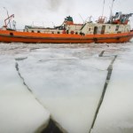 ​Poziom Wisły w rejonie Kępy Polskiej przekroczył stan ostrzegawczy