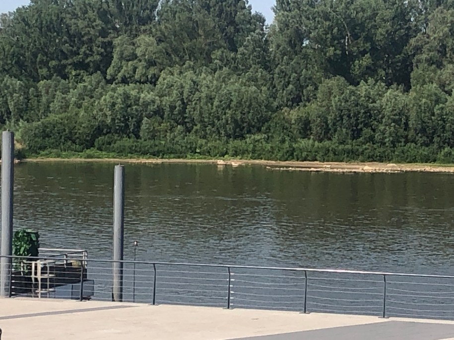 Poziom wody w Wiśle w Warszawie /Michał Dobrołowicz /RMF24