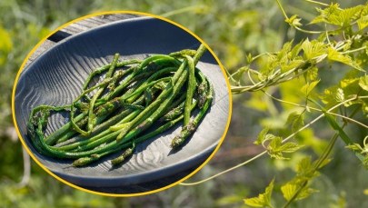 Poznaj najdroższe warzywo na świecie. Cenowo bije na głowę szafran i trufle