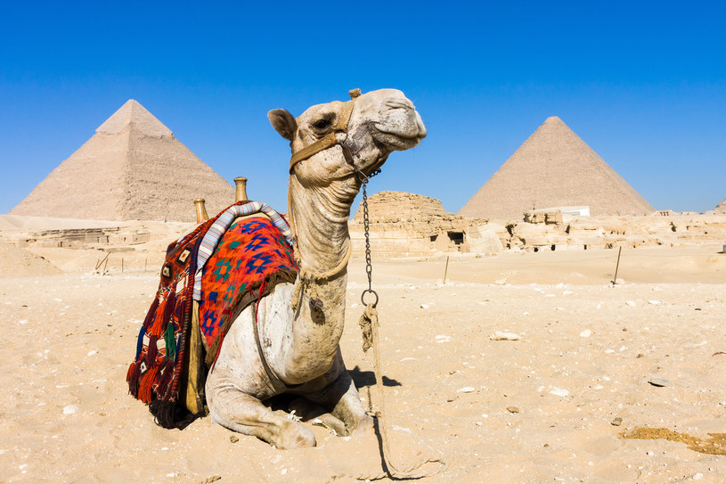 Poznaj największe zabytki starożytnego Egiptu /materiały prasowe