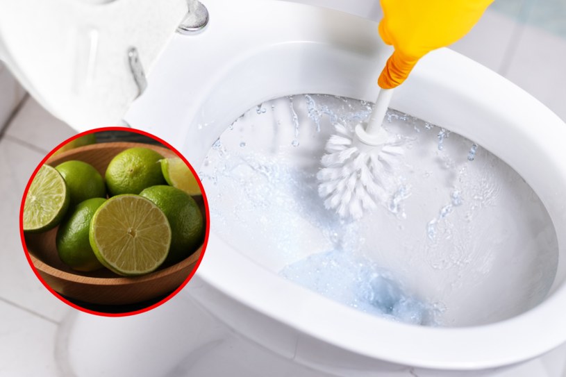 Poznaj prosty trik na czystą toaletę /123RF/PICSEL