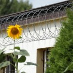 Poznali się w zakładzie karnym. Razem wyłudzili prawie 1,4 mln zł