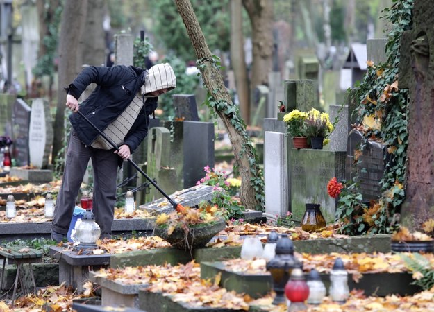 Poznań: Będzie mocno wiało. Niewykluczone czasowe zamykanie cmentarzy /Tomasz Gzell /PAP