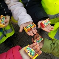 Choinki Mamba Poznań 