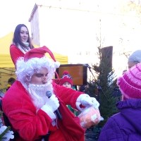 Choinki Mamba Poznań 