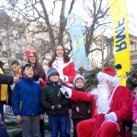 Choinki Mamba Poznań 