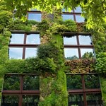 Poznań: Dopłaty do zieleni na dachach i ścianach budynków. Można składać wnioski