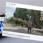 ​Poznań: Drzewo przewróciło się na jadący tramwaj