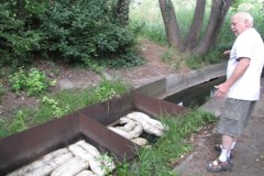 Poznań: Dwa stawy są prawdopodnie zanieczyszczone ropą