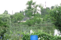 Poznań: Dwa stawy są prawdopodnie zanieczyszczone ropą