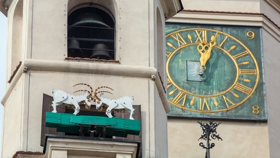 Poznań. Od środy koziołki na ratuszowej wieży będą się trykać dwa razy