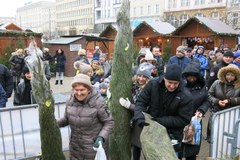 Poznań: Rozdajemy "Choinki pod Choinkę" od RMF FM!