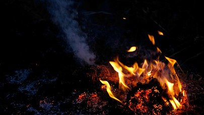 Poznań. Tragiczny pożar altany przy ul. Psarskiej