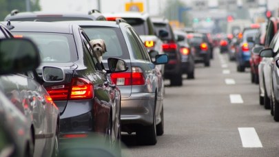 Poznań: Z dowodem rejestracyjnym darmowy przejazd ZTM