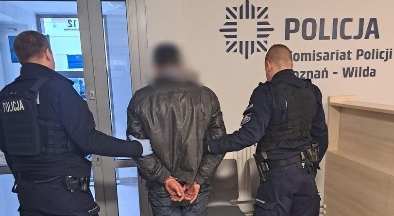 Poznańska policja zatrzymała wandala, który uszkodził kilkadziesiąt aut /Policja