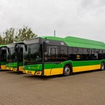 ​Poznański przewoźnik ma coraz więcej autobusów elektrycznych