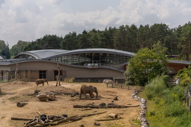 Poznańskie zoo /Shutterstock