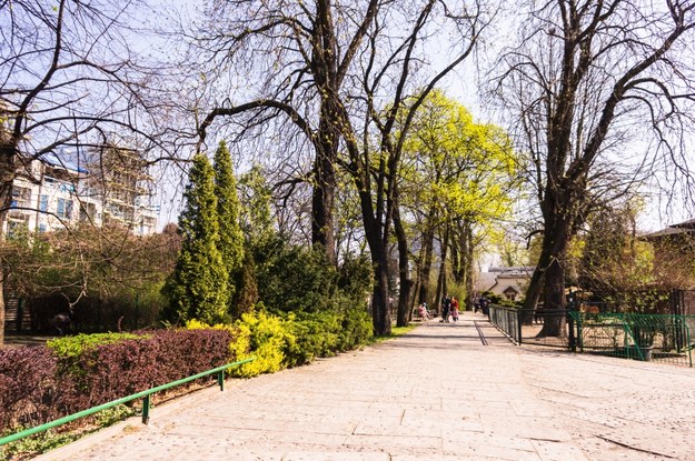 Poznańskie zoo /Shutterstock