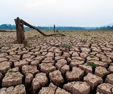 Pozostało tylko 10 lat na powstrzymanie negatywnych zmian klimatu