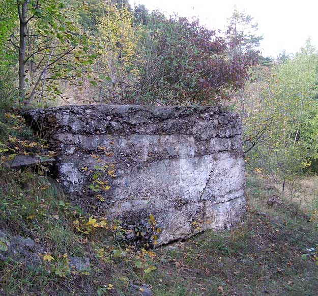 Pozostałości po zlikwidowanych zabudowaniach kopalni arsenu w Wąwozie Kłodzkim /Odkrywca